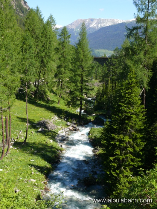 P1050247.JPG - Albulatal