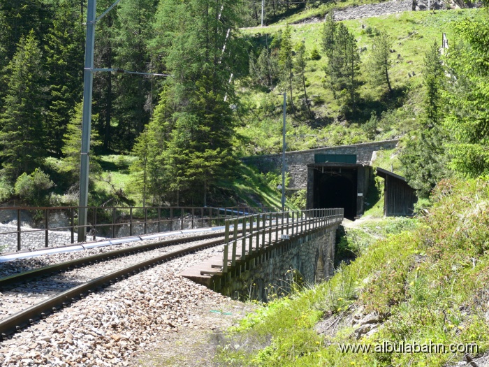 P1050336.JPG - Albulatal