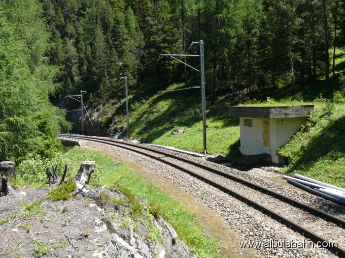 P1050338.JPG - Albulatal