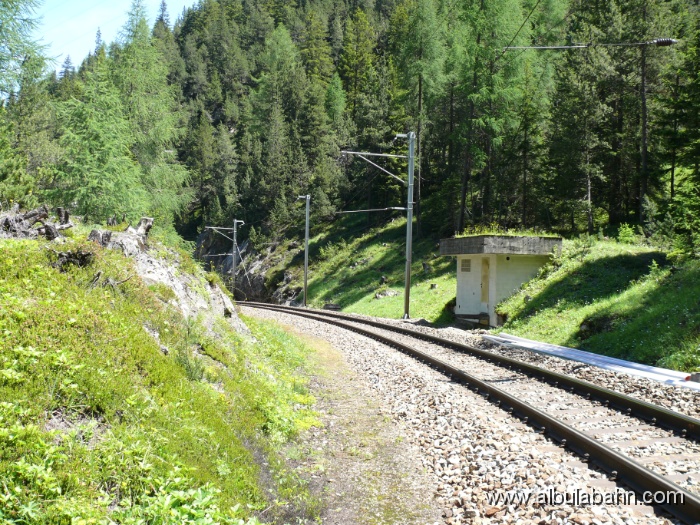 P1050340.JPG - Albulatal