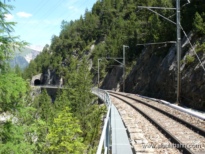 P1050345.JPG - Albulatal