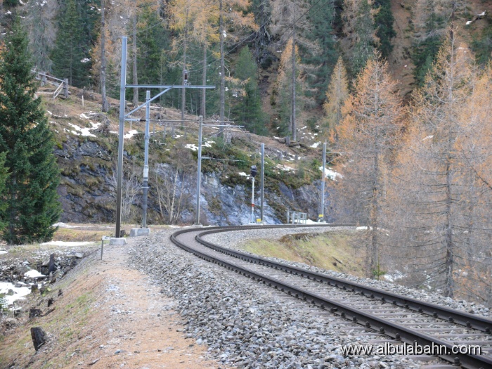 P1060551.JPG - Albulatal