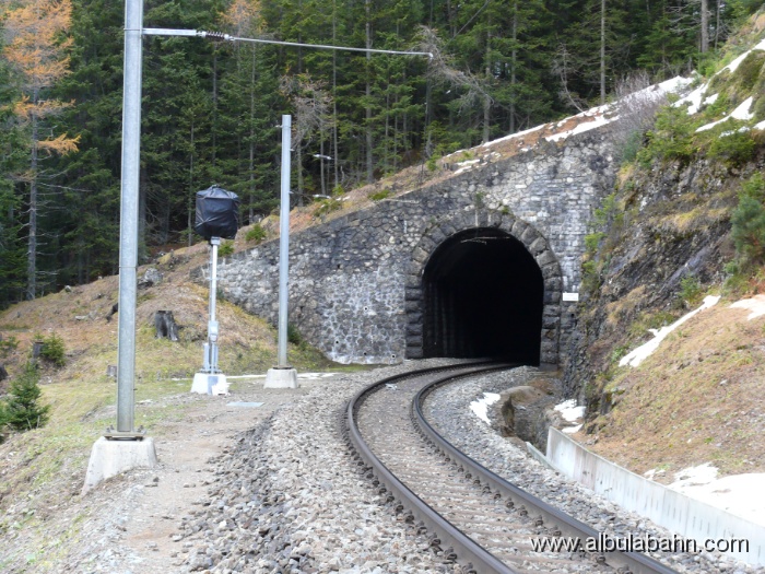 P1060560.JPG - Albulatal