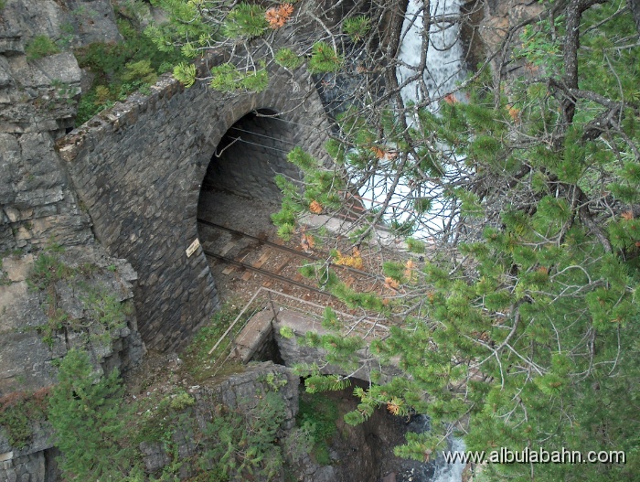 HPIM5291.JPG - Bärentritt