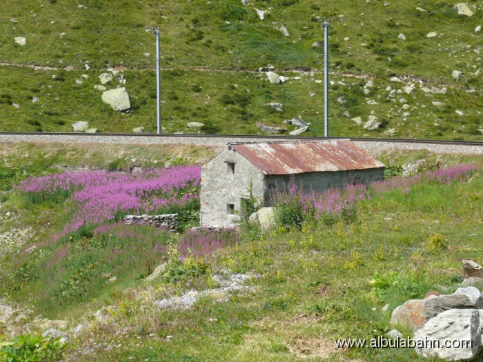 P1120483.JPG - Bernina