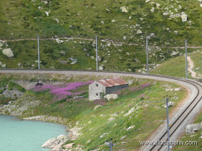 P1120489.JPG - Bernina