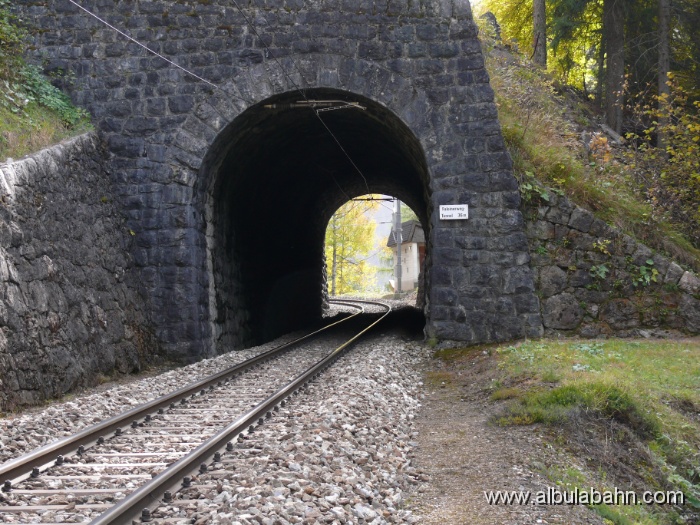 P1010102.JPG - Faleinerweg