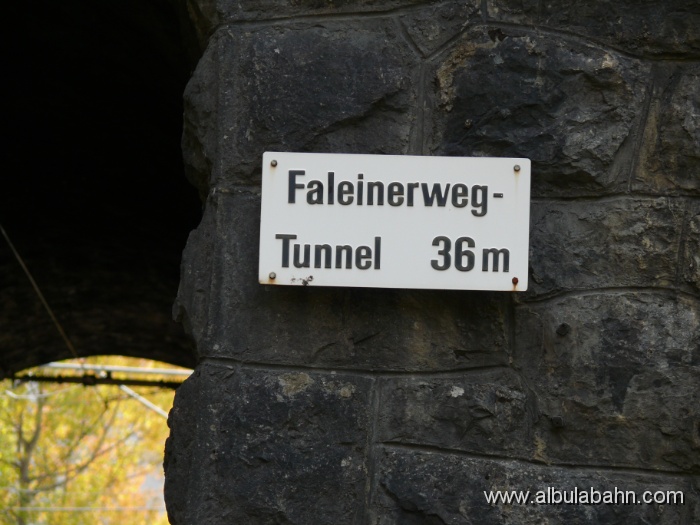 P1010103.JPG - Faleinerweg