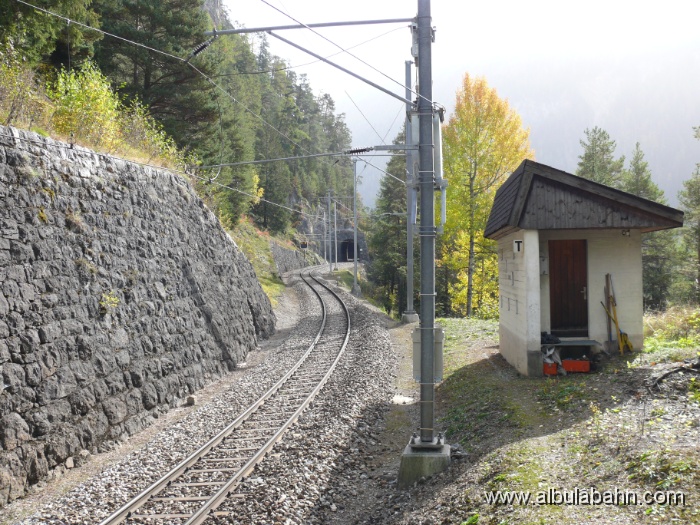 P1010121.JPG - Faleinerweg