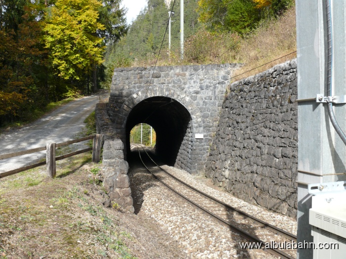 P1010122.JPG - Faleinerweg