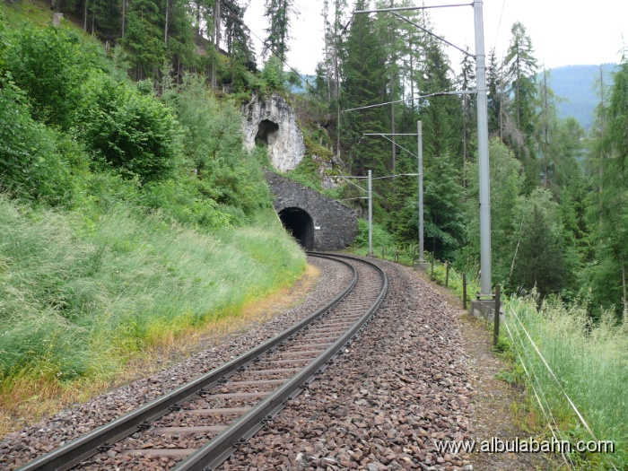 P1010882.JPG - Filisur Schlossbergtunnel