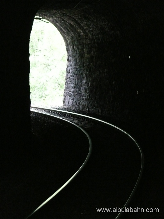 P1010888.JPG - Filisur Schlossbergtunnel