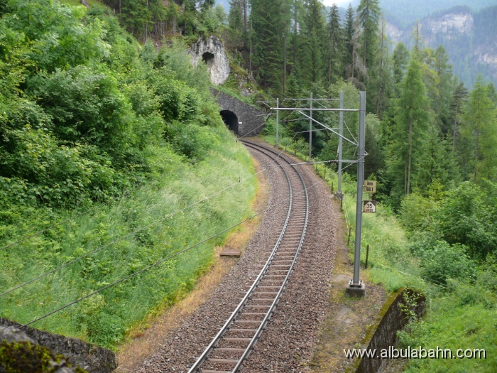 P1010892.JPG - Filisur Schlossbergtunnel