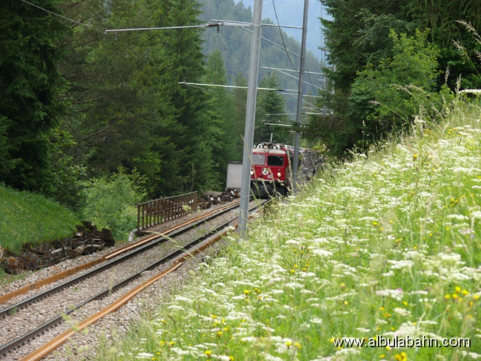 P1020395.JPG - Filisur - Davos