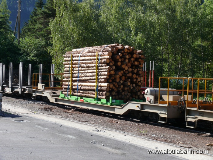 P1150051.JPG - Surava