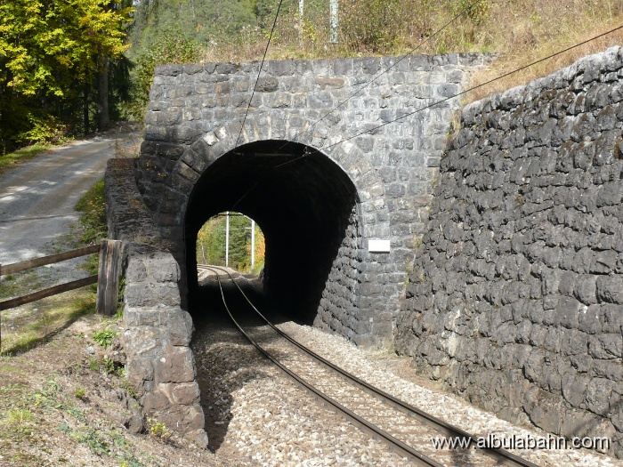 P1010122.JPG - Faleinerweg Tunnel