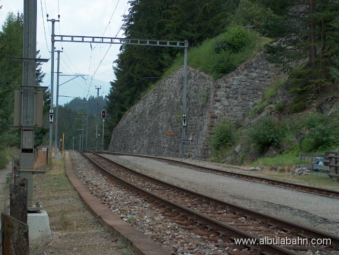 HPIM1900.JPG - Wiesen