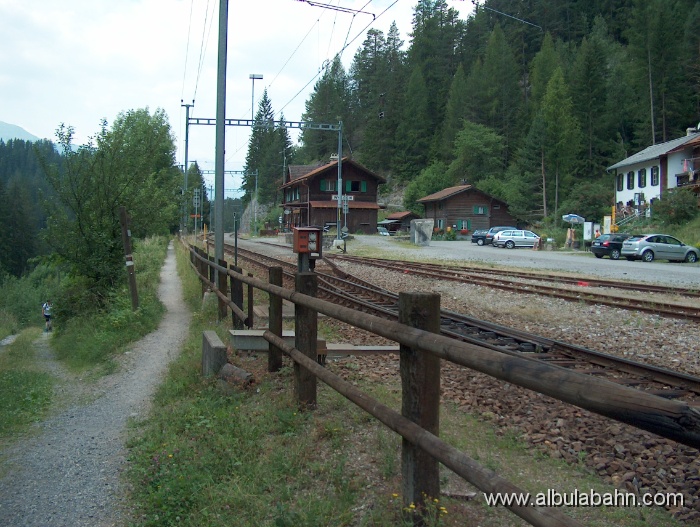 HPIM3732.JPG - Wiesen
