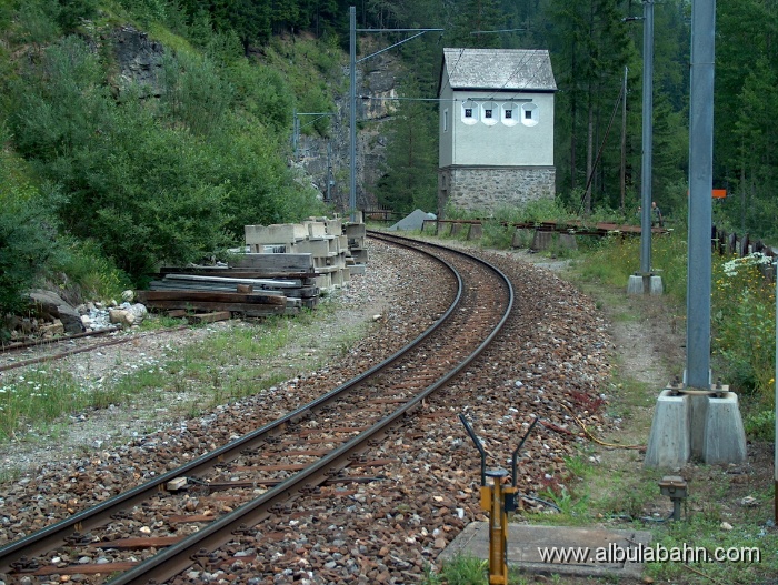 HPIM3735.JPG - Wiesen
