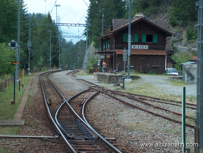 HPIM3736.JPG - Wiesen