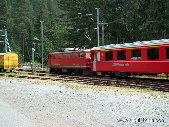 HPIM3757.JPG - Wiesen