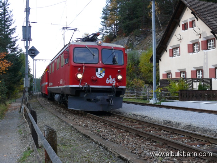 P1010377.JPG - Wiesen